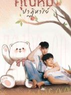 奇跡熊先生劇情介紹(1-15全集)