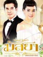 新魚之戀劇情介紹(1-40全集)