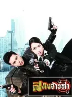 港口虎神劇情介紹(1-15全集)