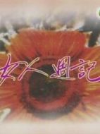女人周記II劇情介紹(1-9全集)