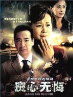 良心無悔劇情介紹(1-38全集)