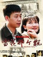 雪花那個(gè)飄劇情介紹(1-38全集)