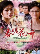 春暖花開劇情介紹(1-33全集)