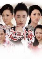 百萬新娘之愛無悔（TV版）