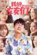 我的女友們劇情介紹(1-15全集)
