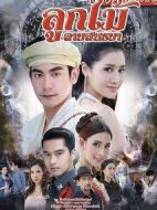 黎明之紋劇情介紹(1-15全集)