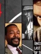 巨星驟逝之謎劇情介紹(1-15全集)