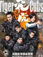 飛虎劇情介紹(1-13全集)