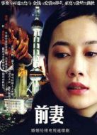 前妻劇情介紹(1-20全集)