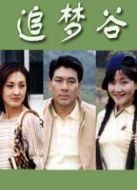 追夢(mèng)谷海報(bào)