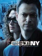 犯罪現(xiàn)場調(diào)查：紐約第四季劇情介紹(1-21全集)