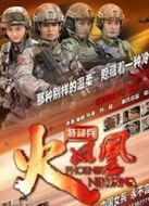 我是特種兵之火鳳凰（DVD版）劇情介紹(1-48全集)