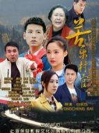 苦樂村官劇情介紹(1-30全集)