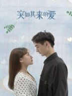 紅肥綠瘦劇情介紹(1-14全集)