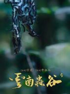 云南蟲(chóng)谷劇情介紹(1-16全集)