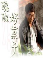 丑丑好果子劇情介紹(1-5全集)