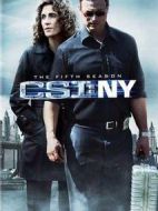 犯罪現(xiàn)場(chǎng)調(diào)查：紐約第五季