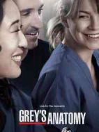 實(shí)習(xí)醫(yī)生格蕾第十季