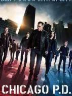 芝加哥警署第一季劇情介紹(1-15全集)