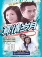 真情歲月劇情介紹(1-20全集)