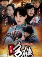 小姨多鶴劇情介紹(1-34全集)