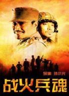 戰(zhàn)火兵魂海報(bào)