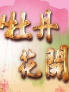 牡丹花開劇情介紹(1-100全集)