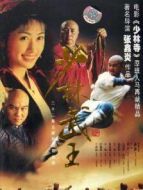 少林武王海報(bào)