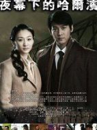夜幕下的哈爾濱劇情介紹(1-33全集)