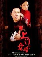 上門女婿劇情介紹(1-23全集)