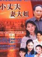 小丈夫 妻大姐劇情介紹(1-40全集)